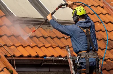 Démoussage et hydrofuge de toiture à Biarne